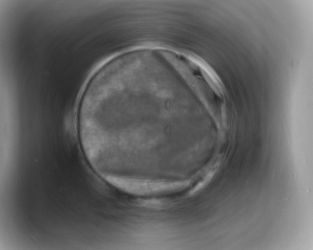 X0000103251004200809181600