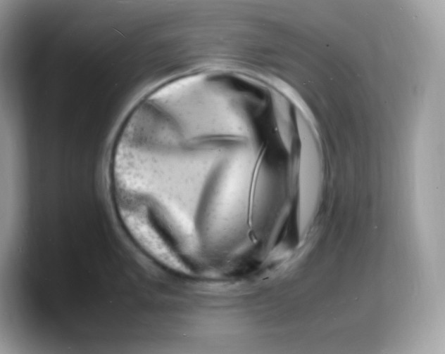 X0000103251005200809181600