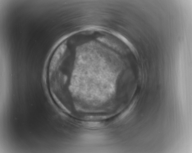X0000103251007200809181600