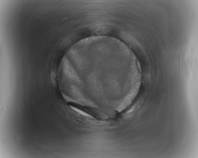 X0000103251010200809181600