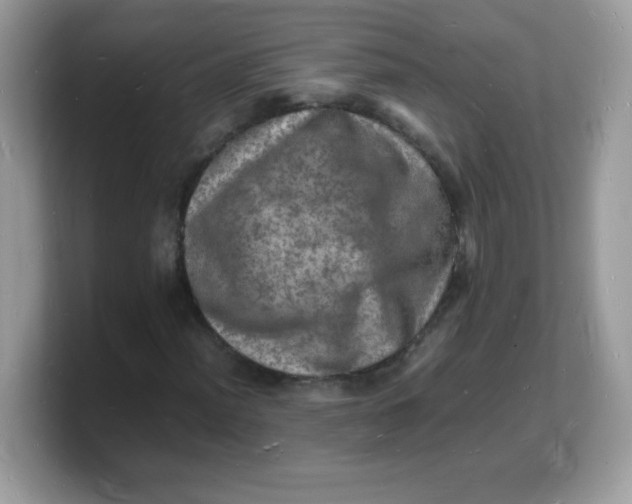 X0000103251012200809181600