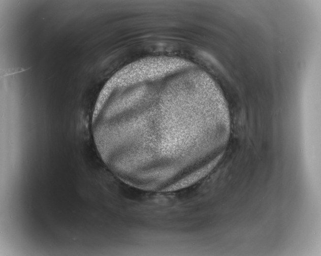 X0000103251013200809181600