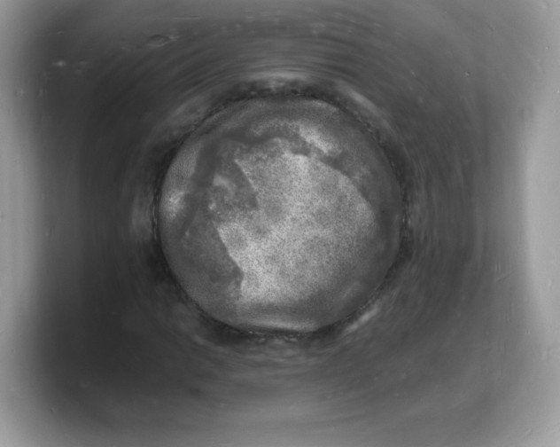 X0000103251014200809181600