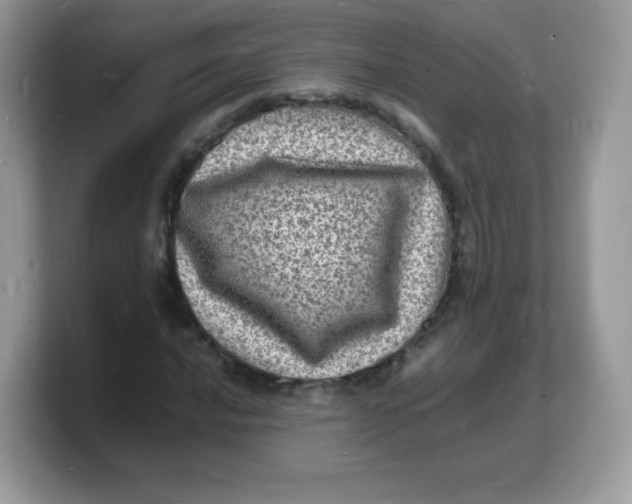 X0000103251016200809181600