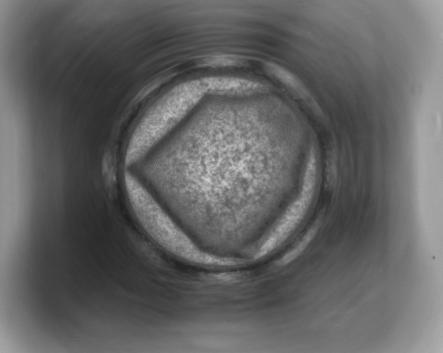X0000103251017200809181600