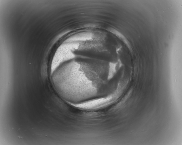 X0000103251019200809181600