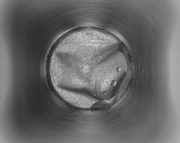 X0000103251020200809181600