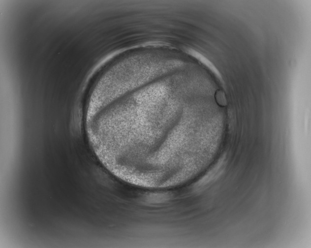 X0000103251021200809181600