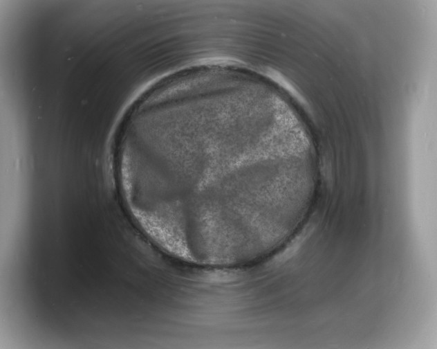 X0000103251022200809181600