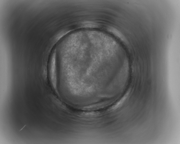 X0000103251025200809181600