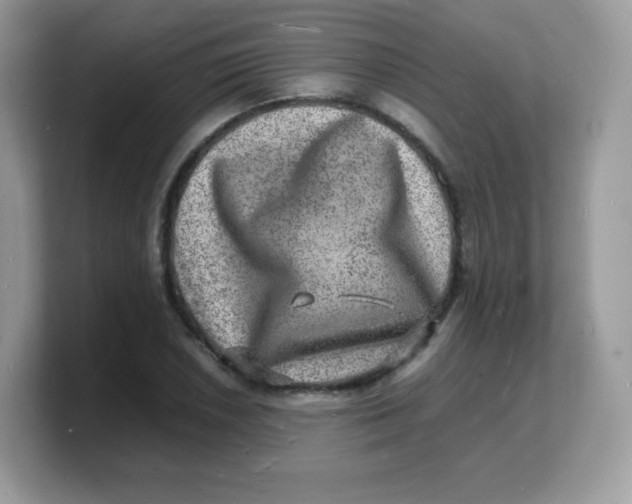 X0000103251026200809181600