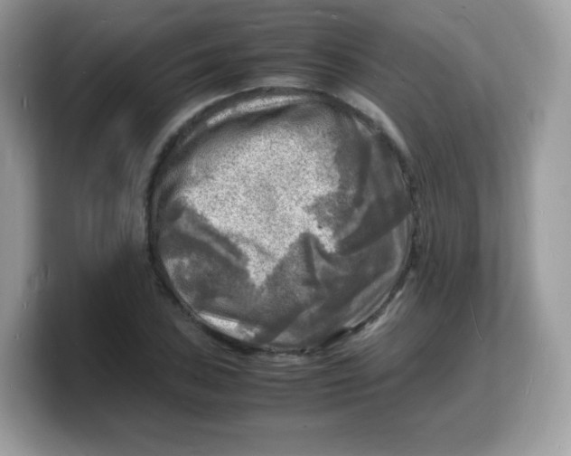 X0000103251027200809181600