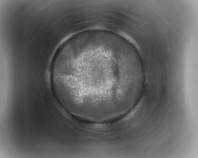 X0000103251029200809181600