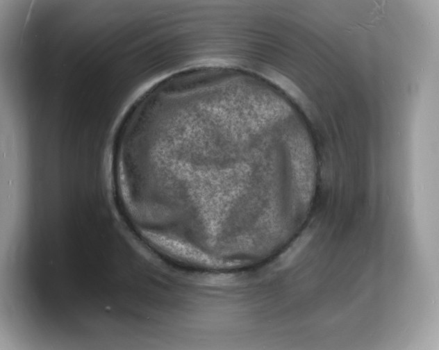 X0000103251030200809181600