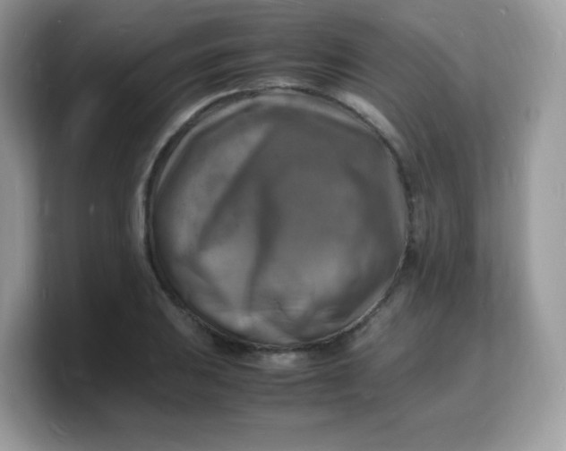 X0000103251031200809181600