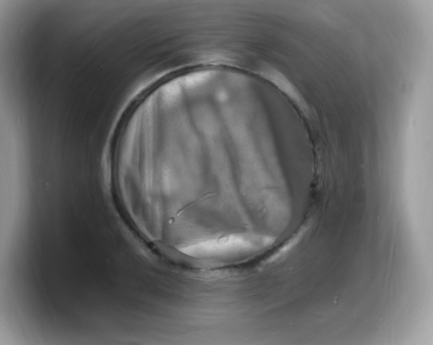 X0000103251032200809181600