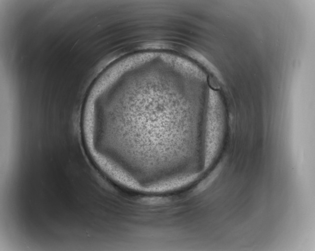 X0000103251033200809181600