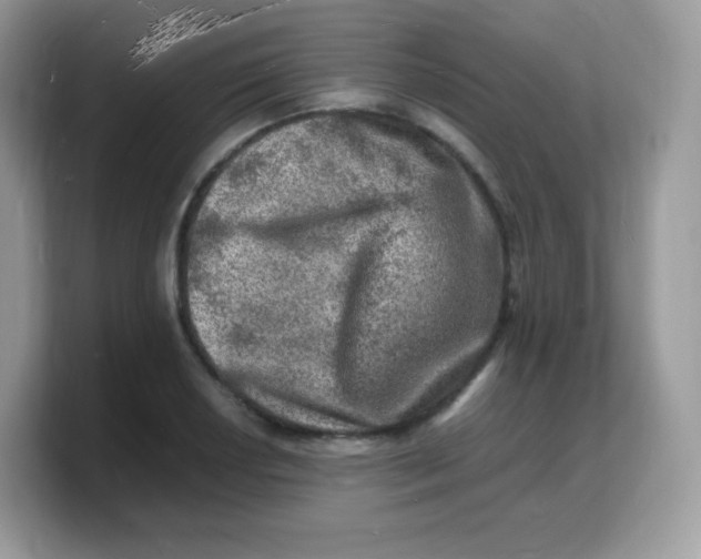 X0000103251034200809181600