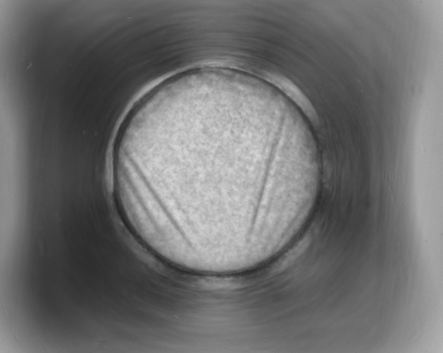 X0000103251036200809181600