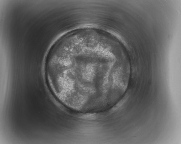 X0000103251038200809181600