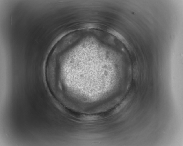 X0000103251039200809181600