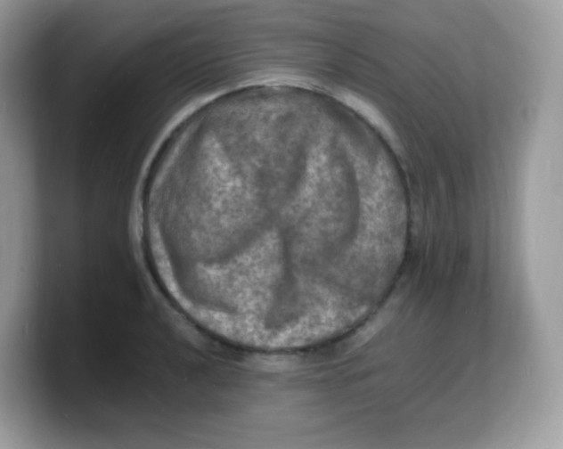 X0000103251040200809181600
