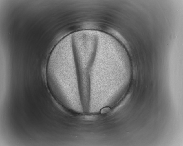 X0000103251041200809181600