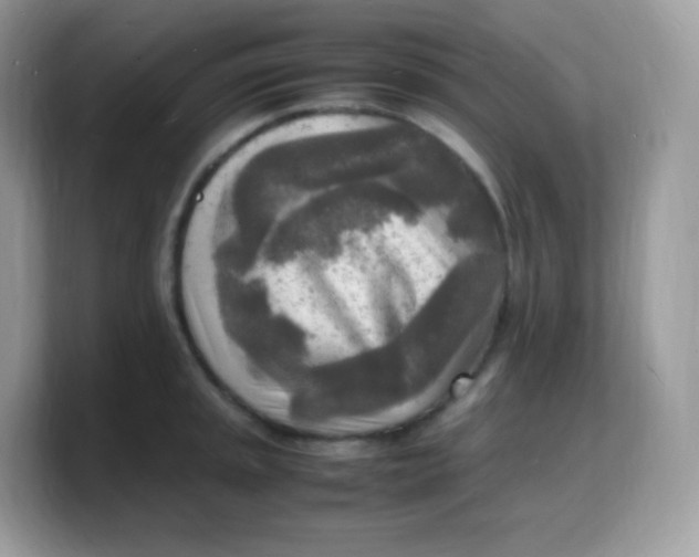 X0000103251045200809181600