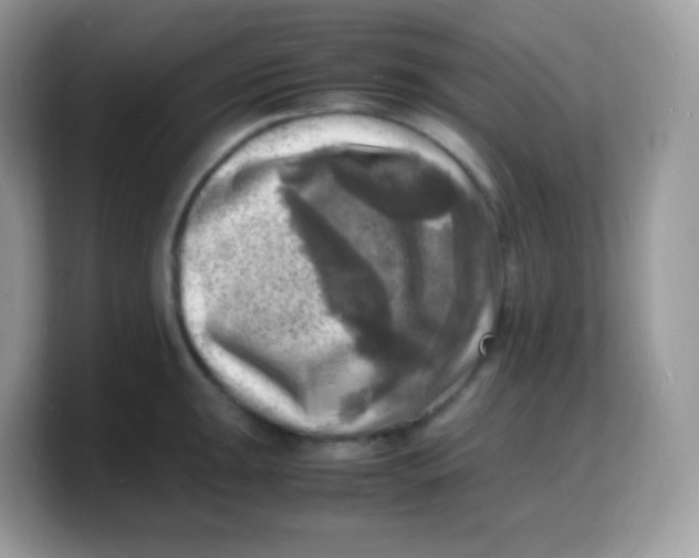 X0000103251047200809181600