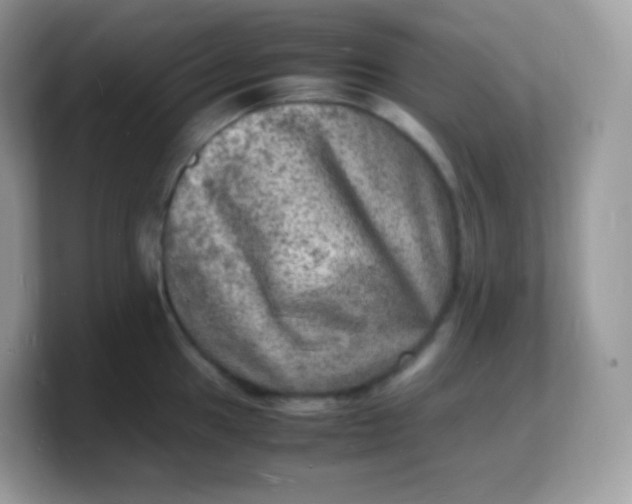 X0000103251049200809181600