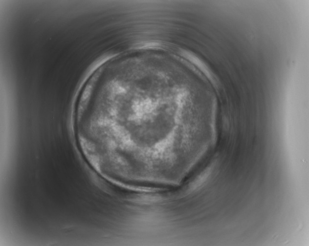 X0000103251050200809181600