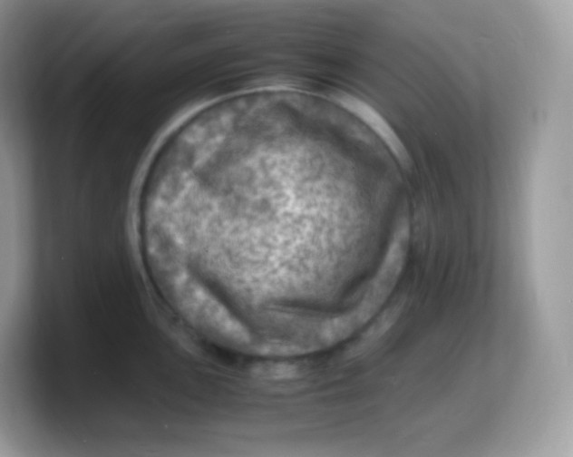 X0000103251051200809181600