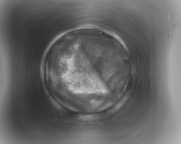 X0000103251054200809181600