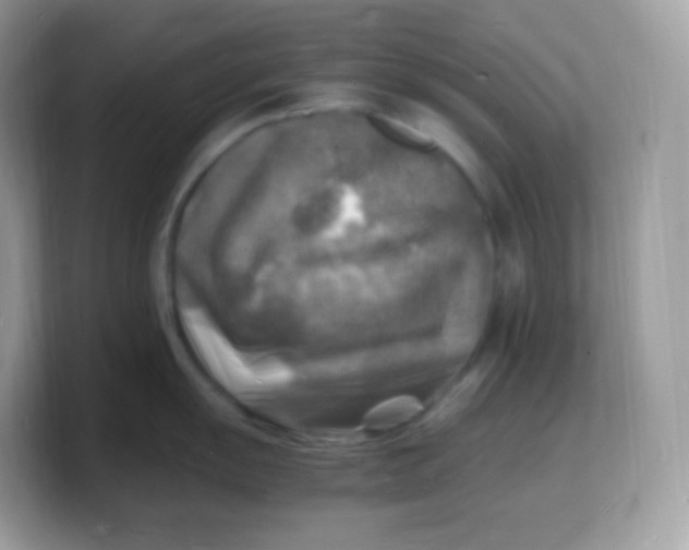 X0000103251055200809181600