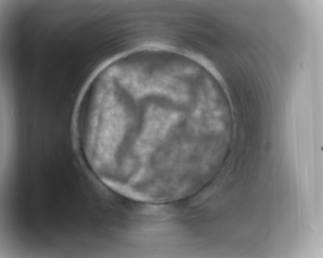 X0000103251056200809181600