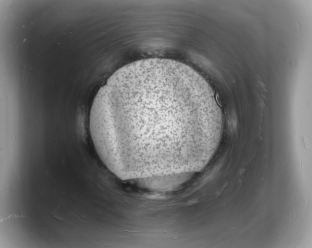 X0000103251060200809181559