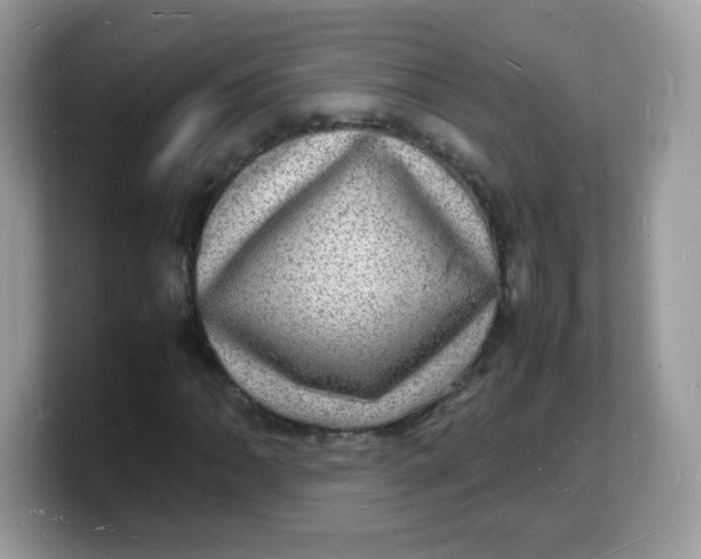 X0000103251062200809181559