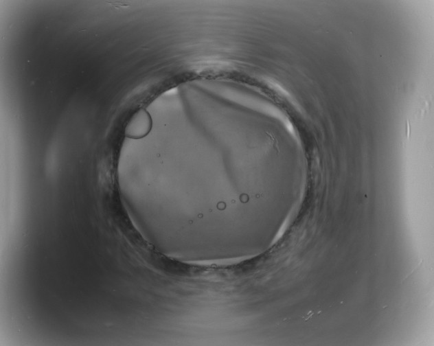 X0000103251063200809181559