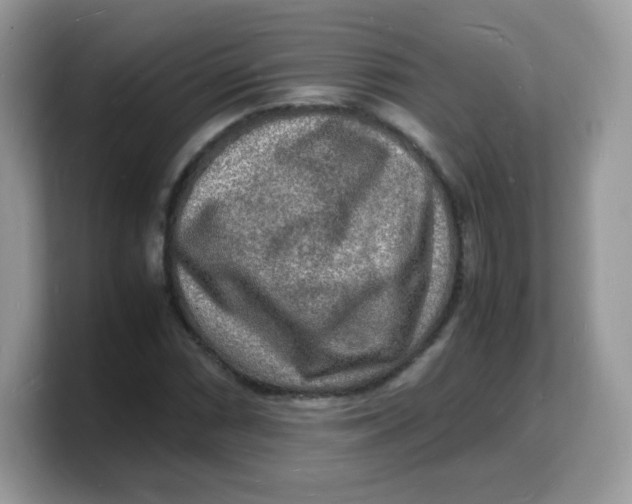 X0000103251066200809181559