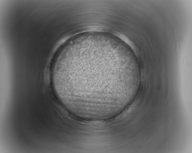X0000103251067200809181559