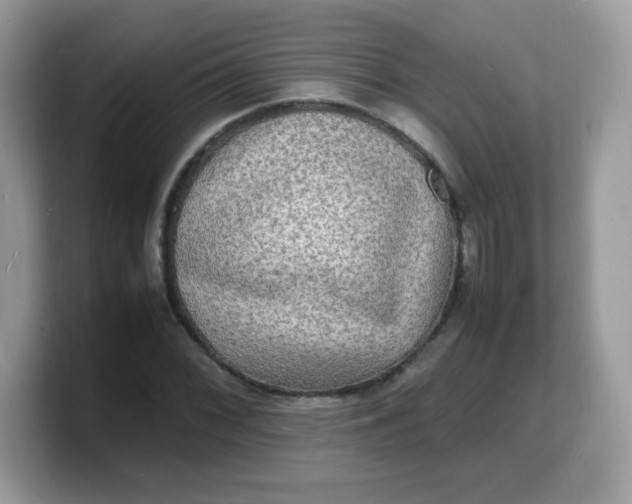 X0000103251068200809181559