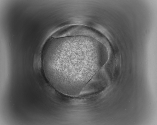 X0000103251069200809181559