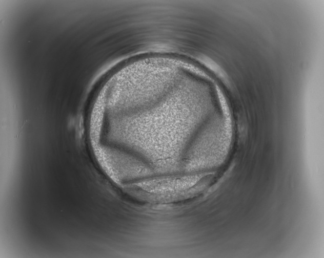 X0000103251070200809181559