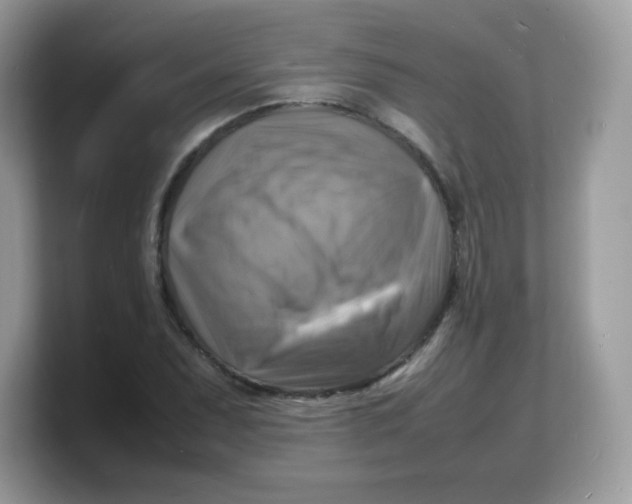 X0000103251071200809181559