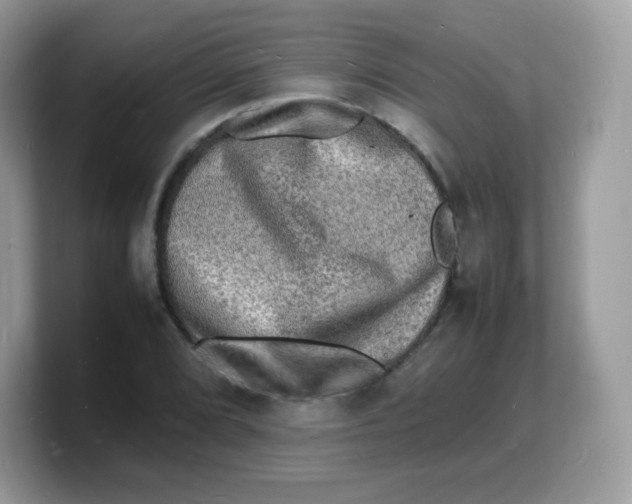 X0000103251072200809181559