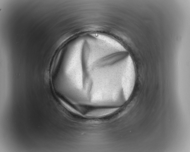 X0000103251073200809181559