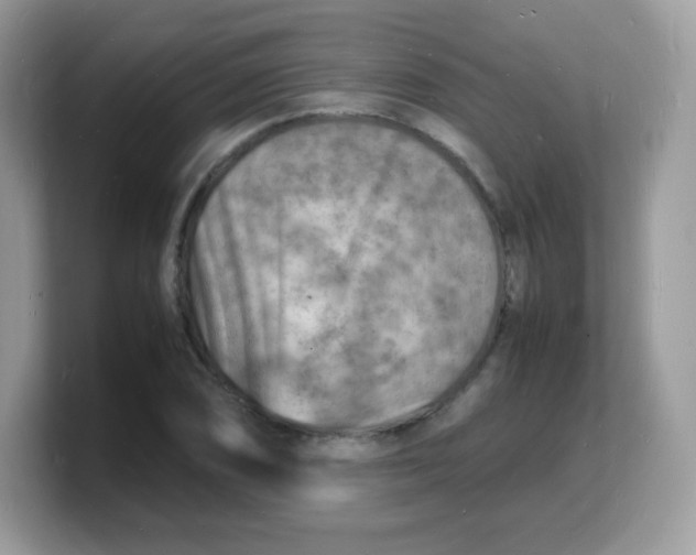 X0000103251074200809181559