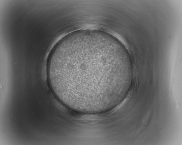 X0000103251075200809181559