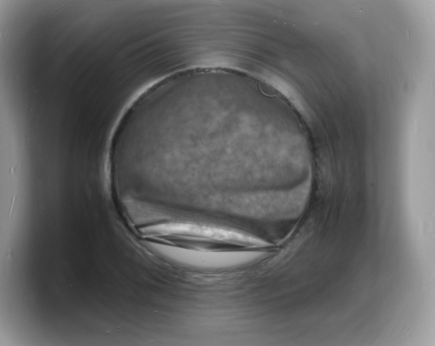 X0000103251076200809181559