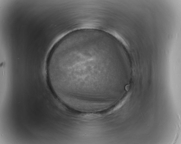 X0000103251077200809181559